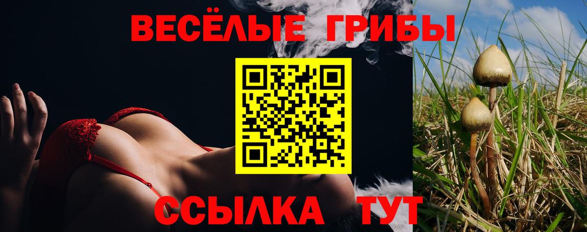 Псилоцибиновые грибы Cubensis Губаха